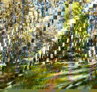 Square Head Track 1 - Accommodation Cairns