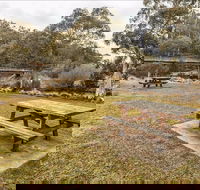 Thredbo River picnic area - Accommodation Cairns
