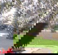 Trangie Big Billy - Accommodation Cairns