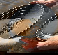 Tuena Panning for Gold - Accommodation Cairns