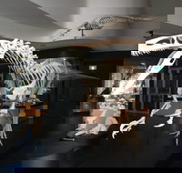 UNE Natural History Museum - Accommodation Cairns