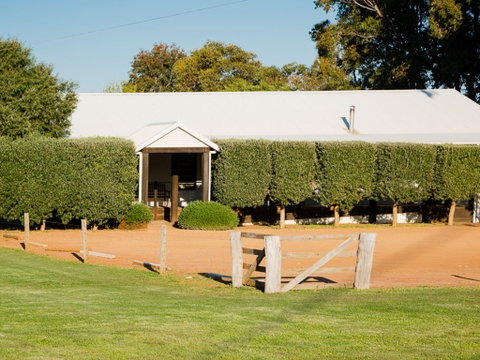 Vasse Virgin - Accommodation Cairns 1