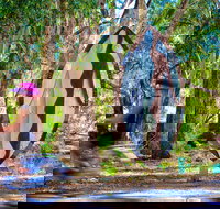 Wagirra Trail and Yindyamarra Sculpture Walk - Accommodation Cairns