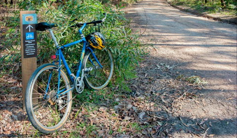 Walter Hood Ride From Cudmirrah - Accommodation Cairns 0