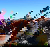 Western Plains Riding Centre - Open - Accommodation Cairns