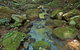 Whian Whian State Conservation Area - thumb 0