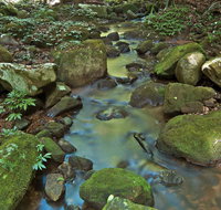 Whian Whian State Conservation Area - Accommodation Cairns