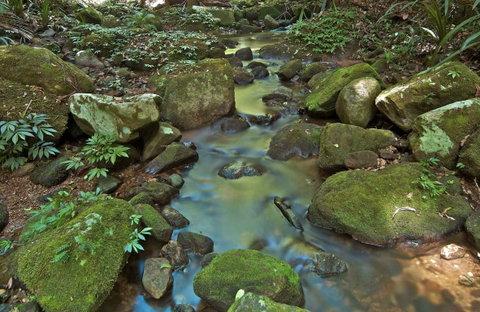Whian Whian State Conservation Area - Accommodation Cairns 0