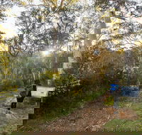 Yarrangobilly Caves  River walk - Accommodation Cairns