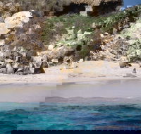 Australian Sea Lions - Accommodation Cairns