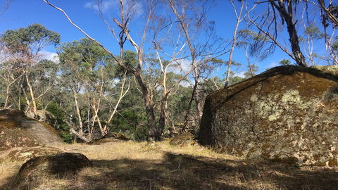 Bailey's Rocks - Dergholm State Park - Accommodation Cairns 0