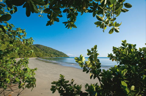 Cape Tribulation, Daintree National Park - Accommodation Cairns 1