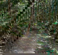 Cascades Walk - Accommodation Cairns