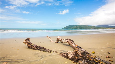 Cow Bay - Accommodation Cairns 0