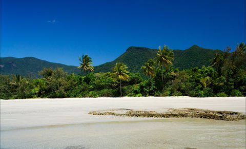 Cow Bay - Accommodation Cairns 1