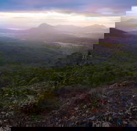 Cunninghams Gap and Spicers Gap Main Range National Park - Accommodation Cairns