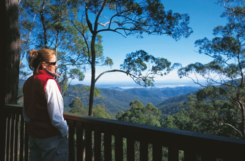 D'Aguilar National Park - Accommodation Cairns 0