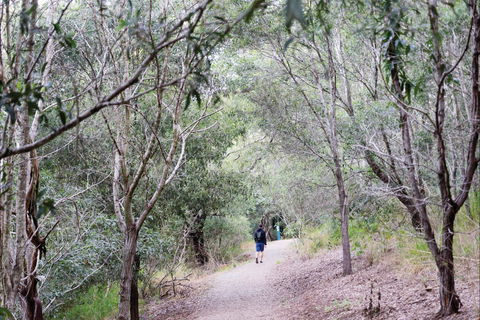 D'Aguilar National Park - Accommodation Cairns 2
