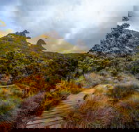Dove Lake - Accommodation Cairns
