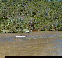 Fitzpatrick Park - Accommodation Cairns