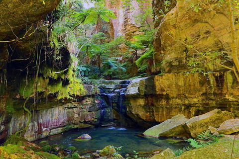 Glimpse Of The Outback 5 Day Tour - Roma And Surrounds - Accommodation Cairns 0
