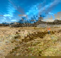 Goldseekers track - Accommodation Cairns