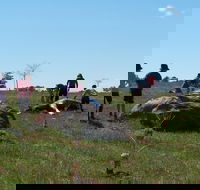 Jim Salmon  Wetland Education Site - Accommodation Cairns