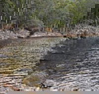 Lake Rowallan - Accommodation Cairns
