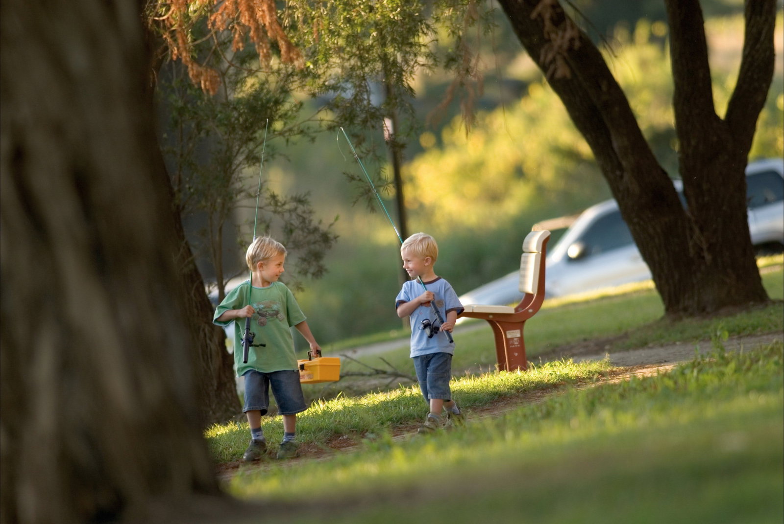 Loftville NSW Accommodation Cairns
