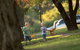 Lismore Lake Walk - thumb 0