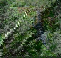 Mapleton Falls National Park