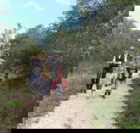 Meningie Lions Walking Trail - Accommodation Cairns