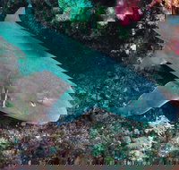 Middle Reef Dive Site - Accommodation Cairns