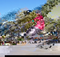 Millicent Skatepark - Accommodation Cairns