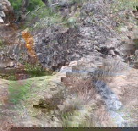 Mill-bullah Walking Track - Accommodation Cairns