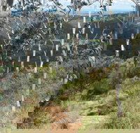 Mount Towac Walk - Accommodation Cairns