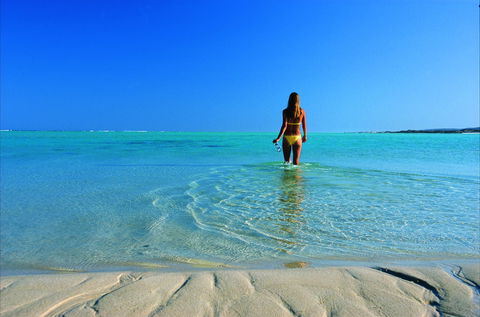 Ningaloo - Accommodation Cairns 1