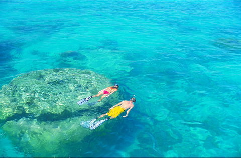 Ningaloo - Accommodation Cairns 2