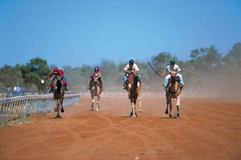 Outback Camel Festival Trail - Accommodation Cairns 2