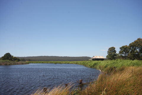 Panboola Wetlands - Accommodation Cairns 0