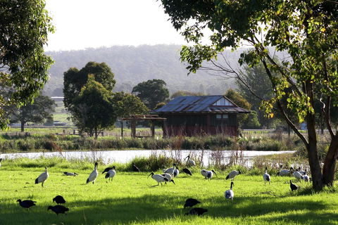 Panboola Wetlands - Accommodation Cairns 1