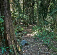 Pholis Gap Walking Track - Accommodation Cairns
