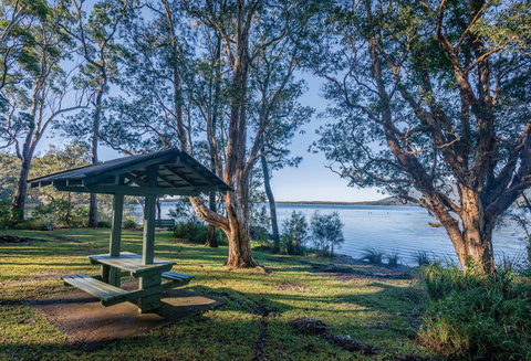 Queens Lake Picnic Area - Accommodation Cairns 0