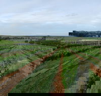 Razorback Cawdor Camden Park - Accommodation Cairns