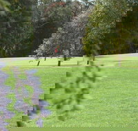 Springwood Country Club - Accommodation Cairns