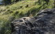 Terramungamine Rock Grooves - thumb 0