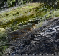 Terramungamine Rock Grooves - Accommodation Cairns