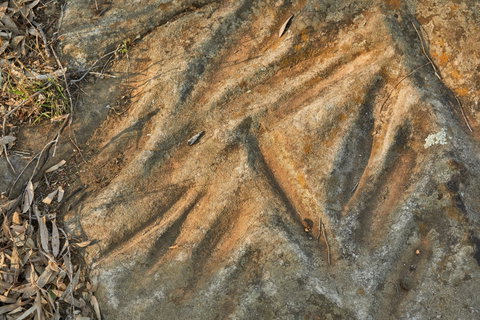 Terramungamine Rock Grooves - Accommodation Cairns 1