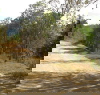 The Bloomfield Track - Accommodation Cairns