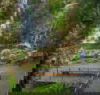 The Falls Walk Budderoo National Park - Accommodation Cairns